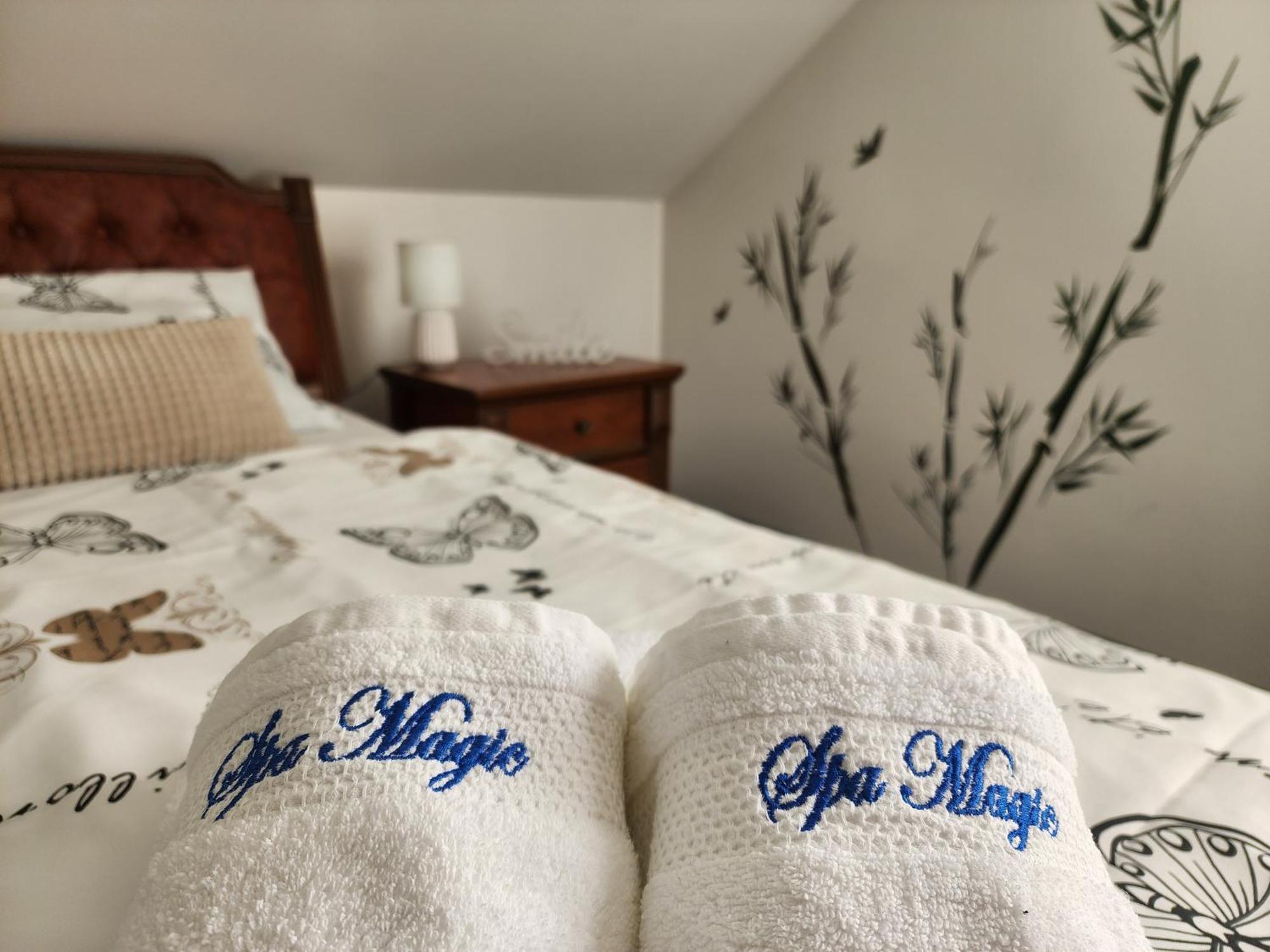 Villa Spa Magic Tuheljske Toplice Eksteriør billede